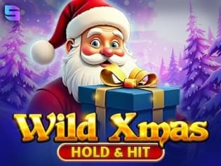 Wild Xmas – Hold & Hit game thumbnail